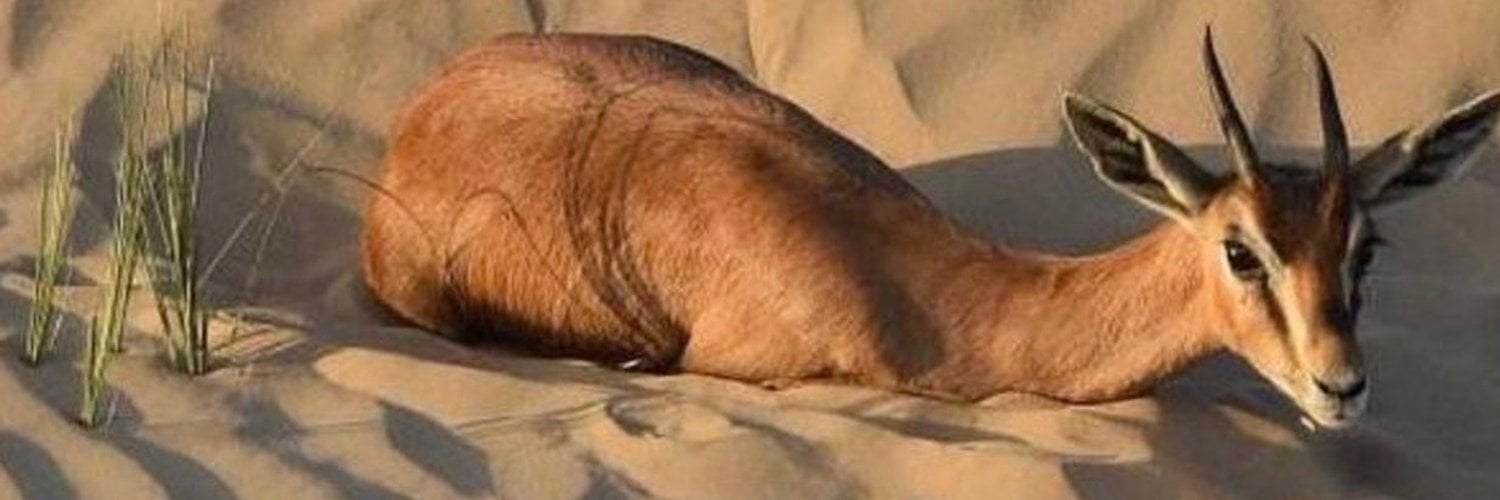 خالد الدوسري