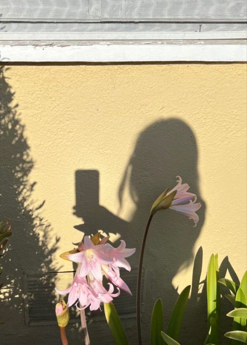 هديل الحربي