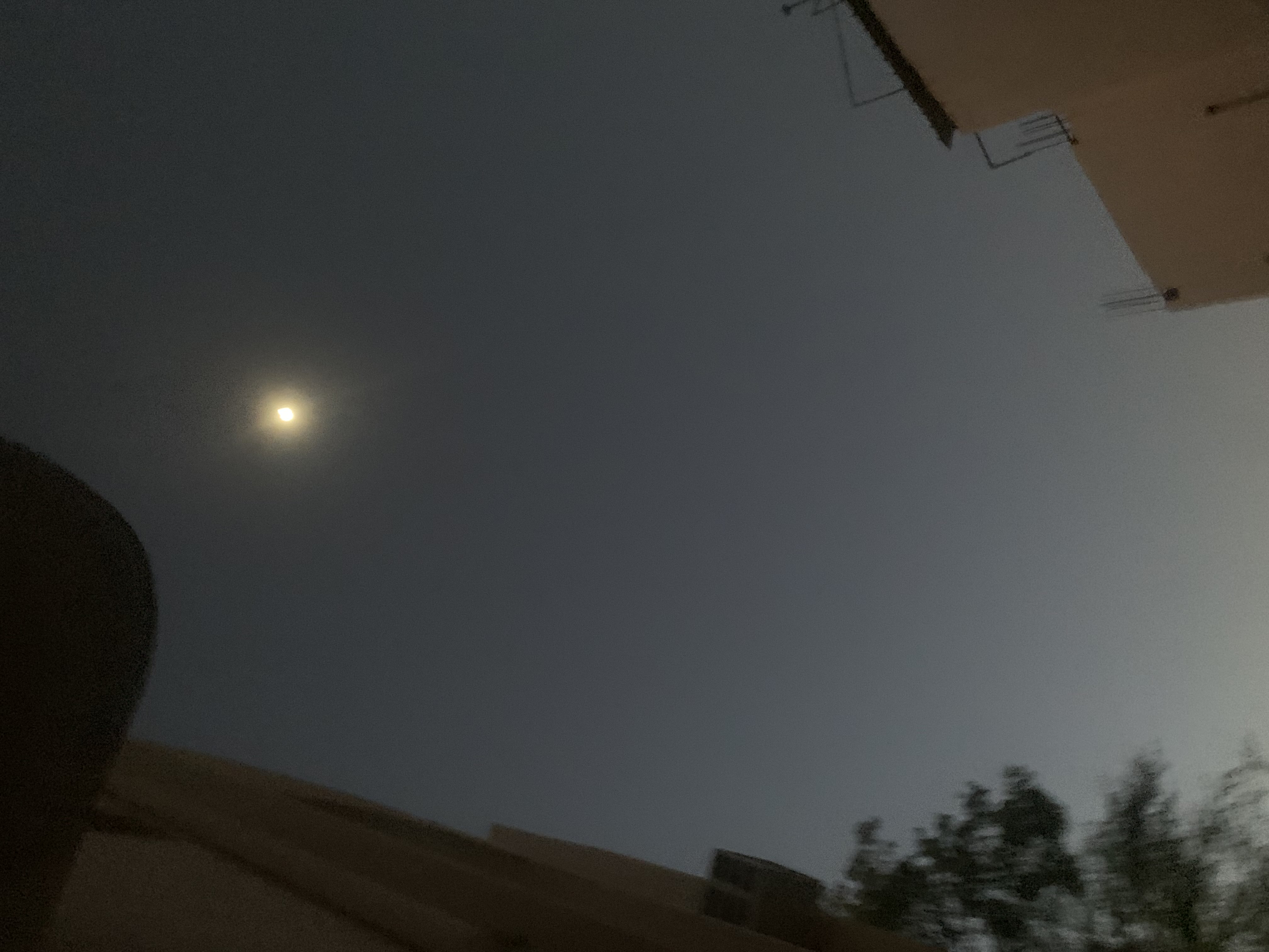 علي الشمري