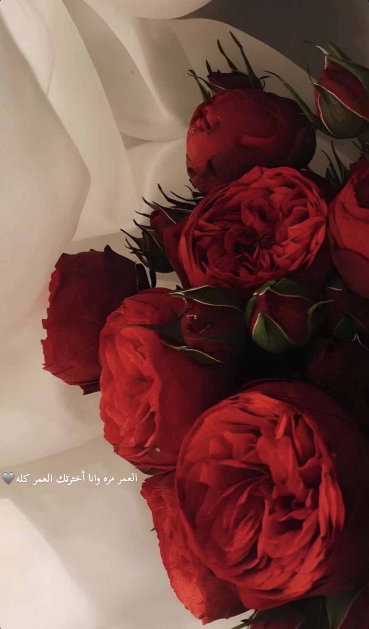 فاطمة الزبيدي