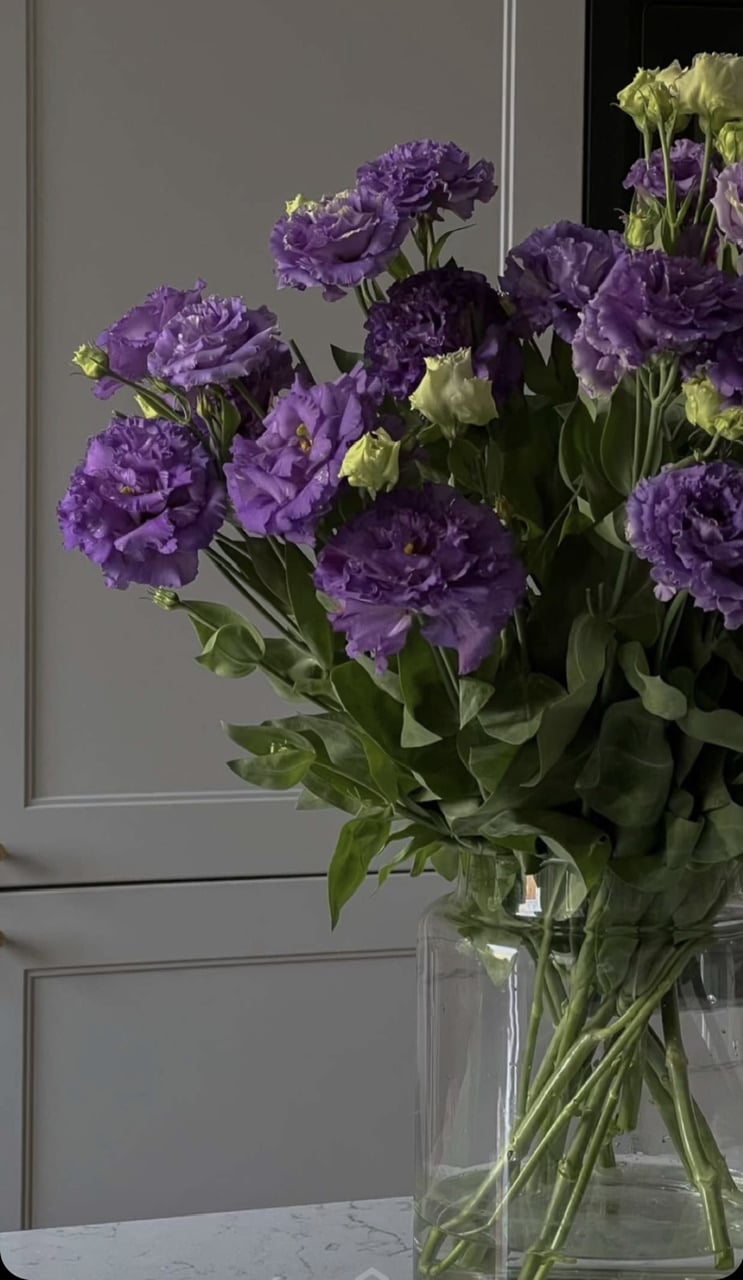 امل الاسمري