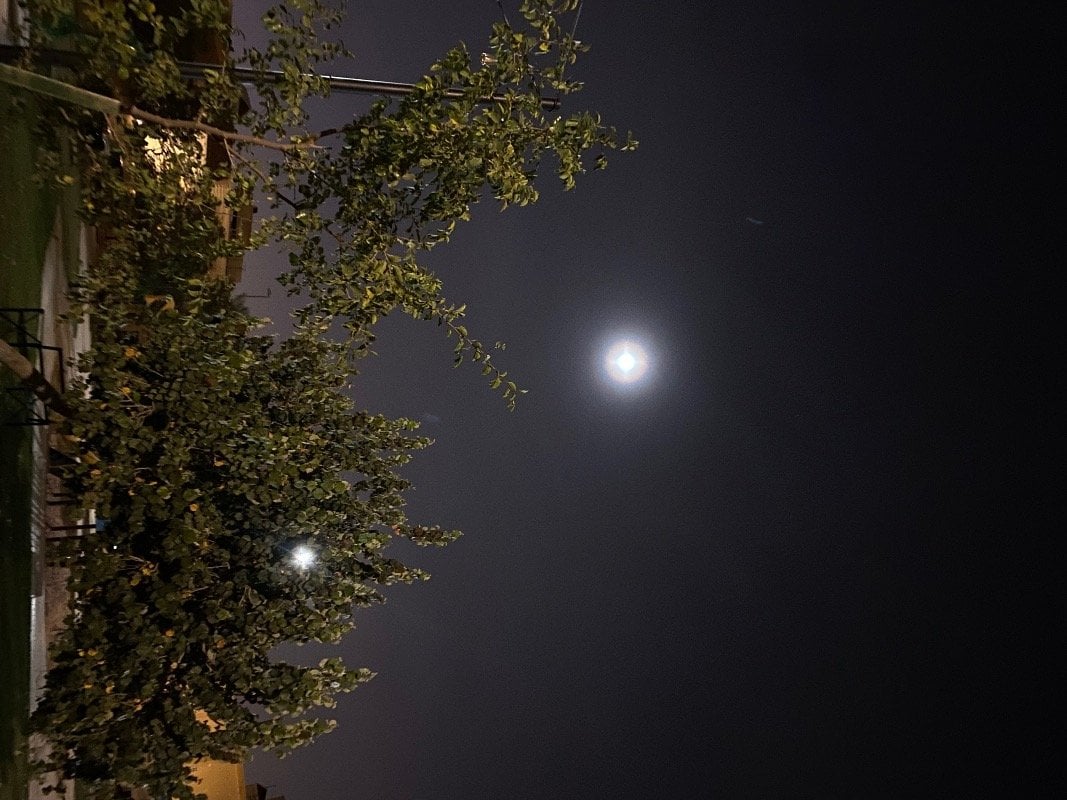 اريام البريدي