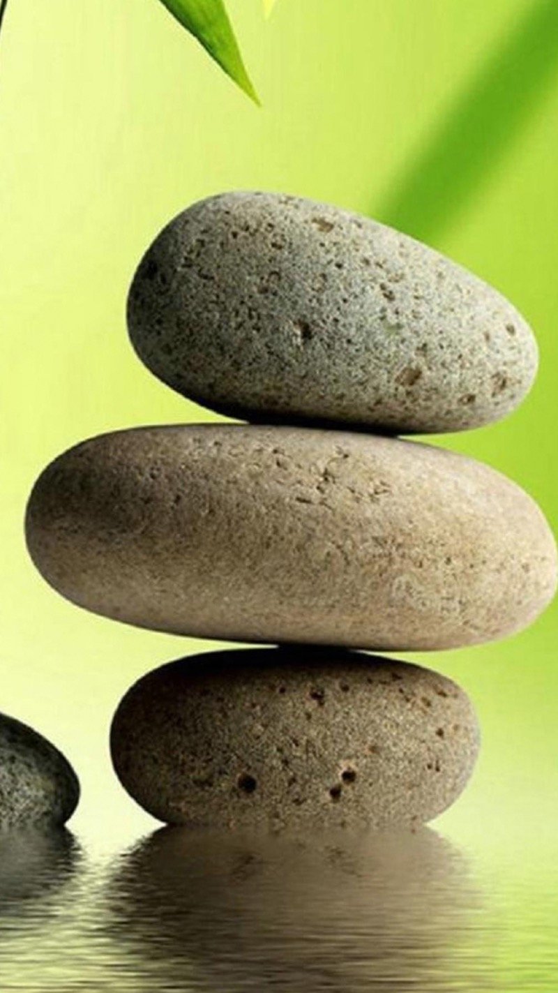 عرفه محمداحمد الامين