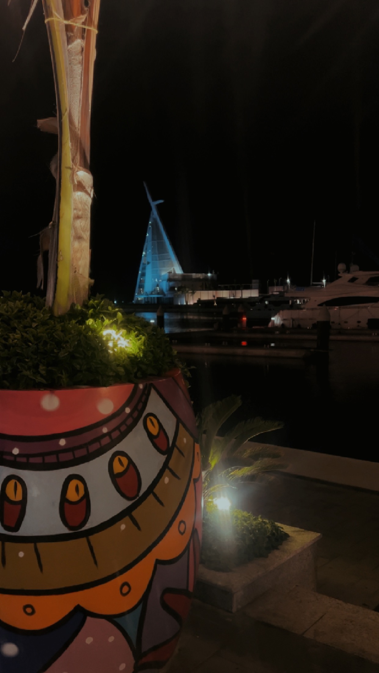 الاء الزهراني