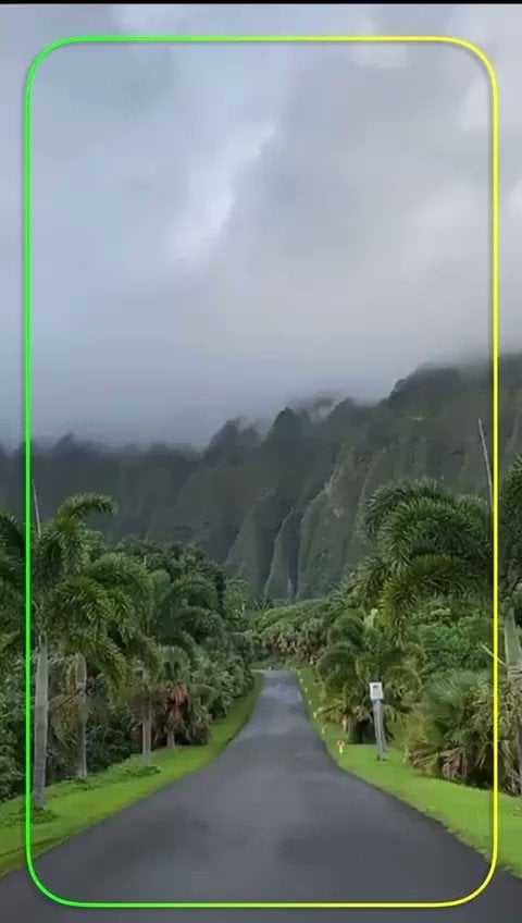 ظافر العمري