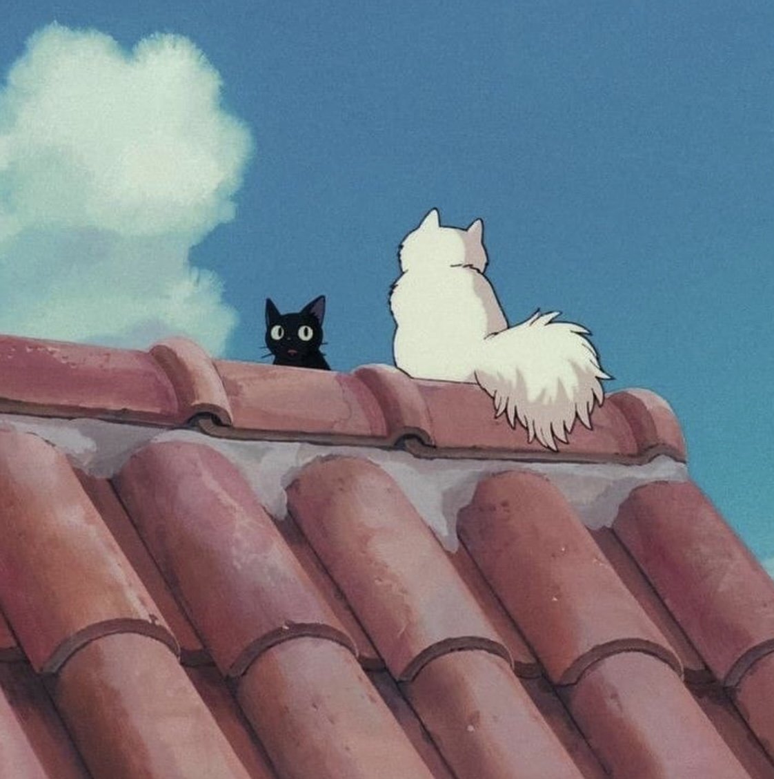 فرح المالكي