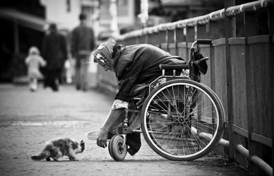 محمد سليم المحمادي الحربي