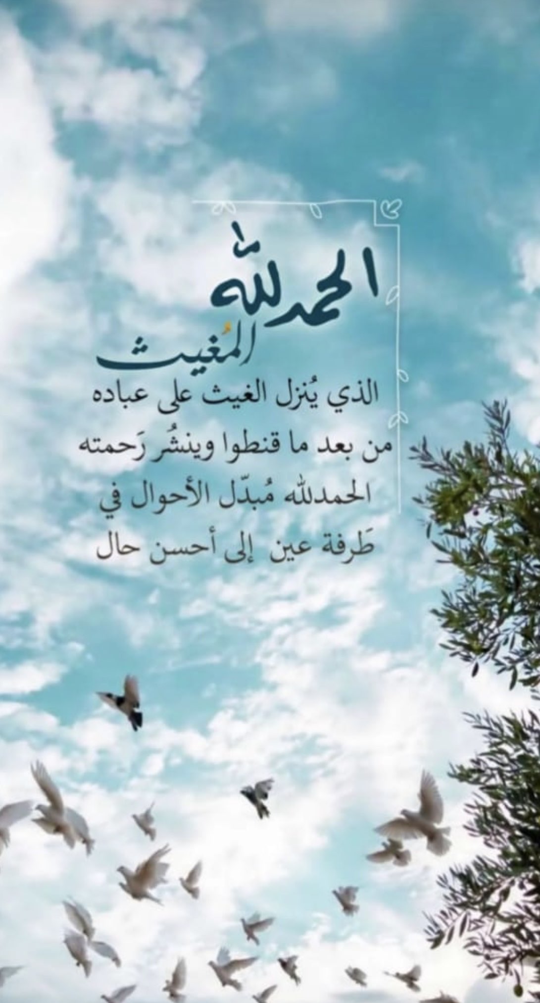 sooмα 〆ᴗ̈ Alwani