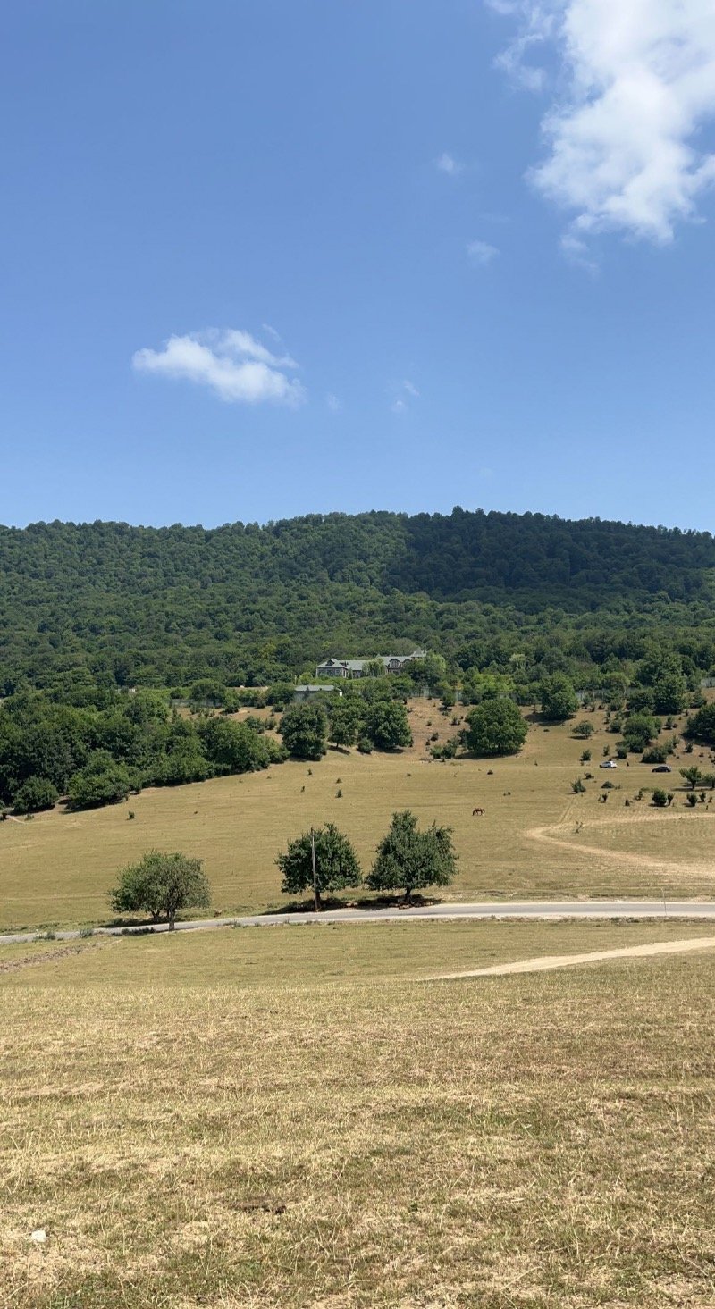 مشاعل الشمري