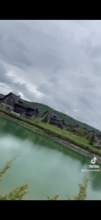 سميره العتيبي