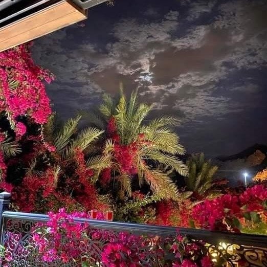 شهد الجهني