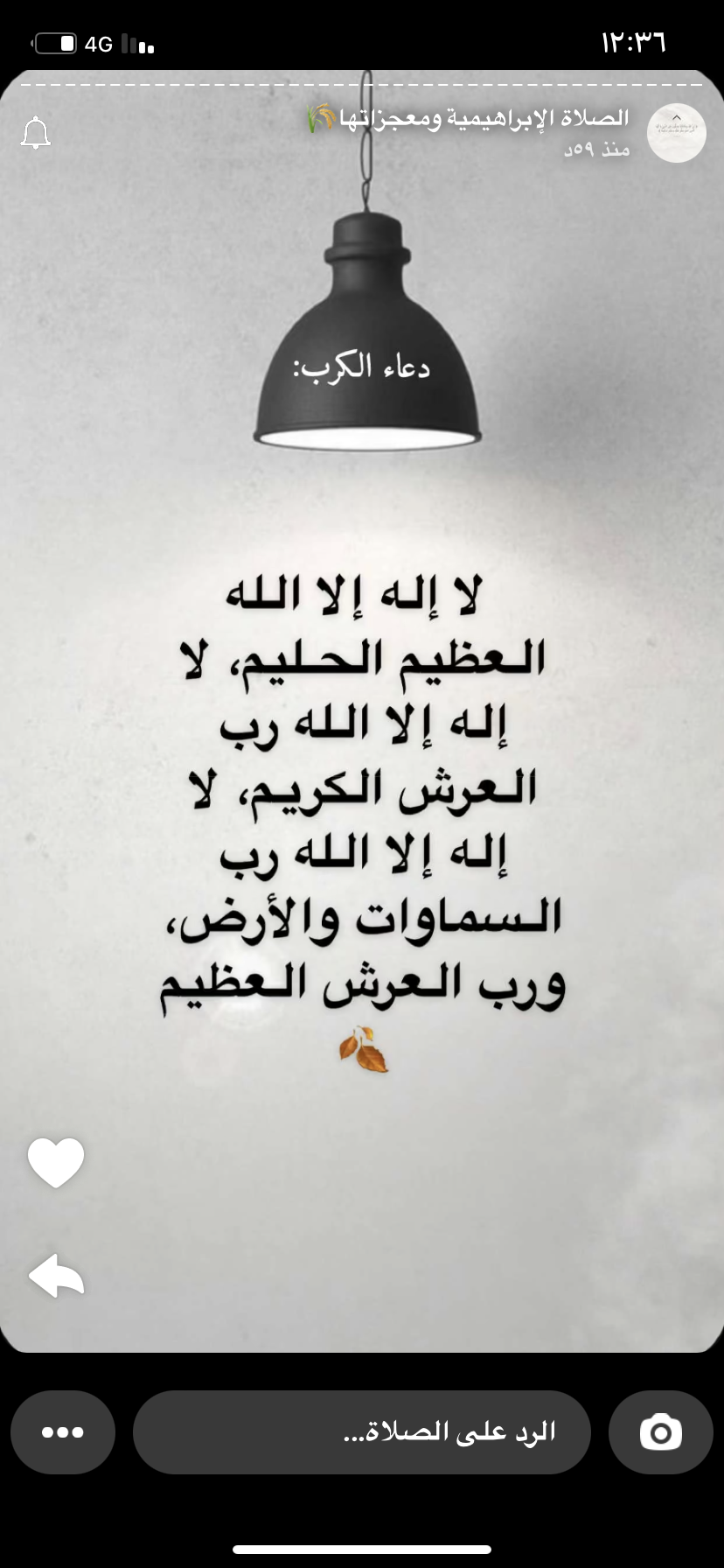 ناديه الرشيدي