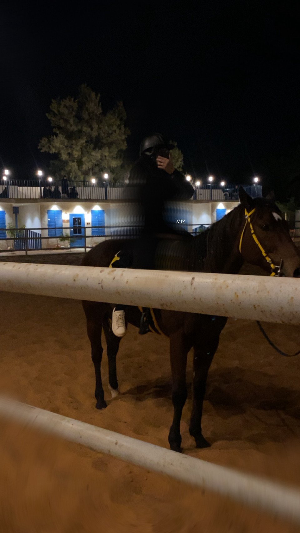 مزنه الحميدان