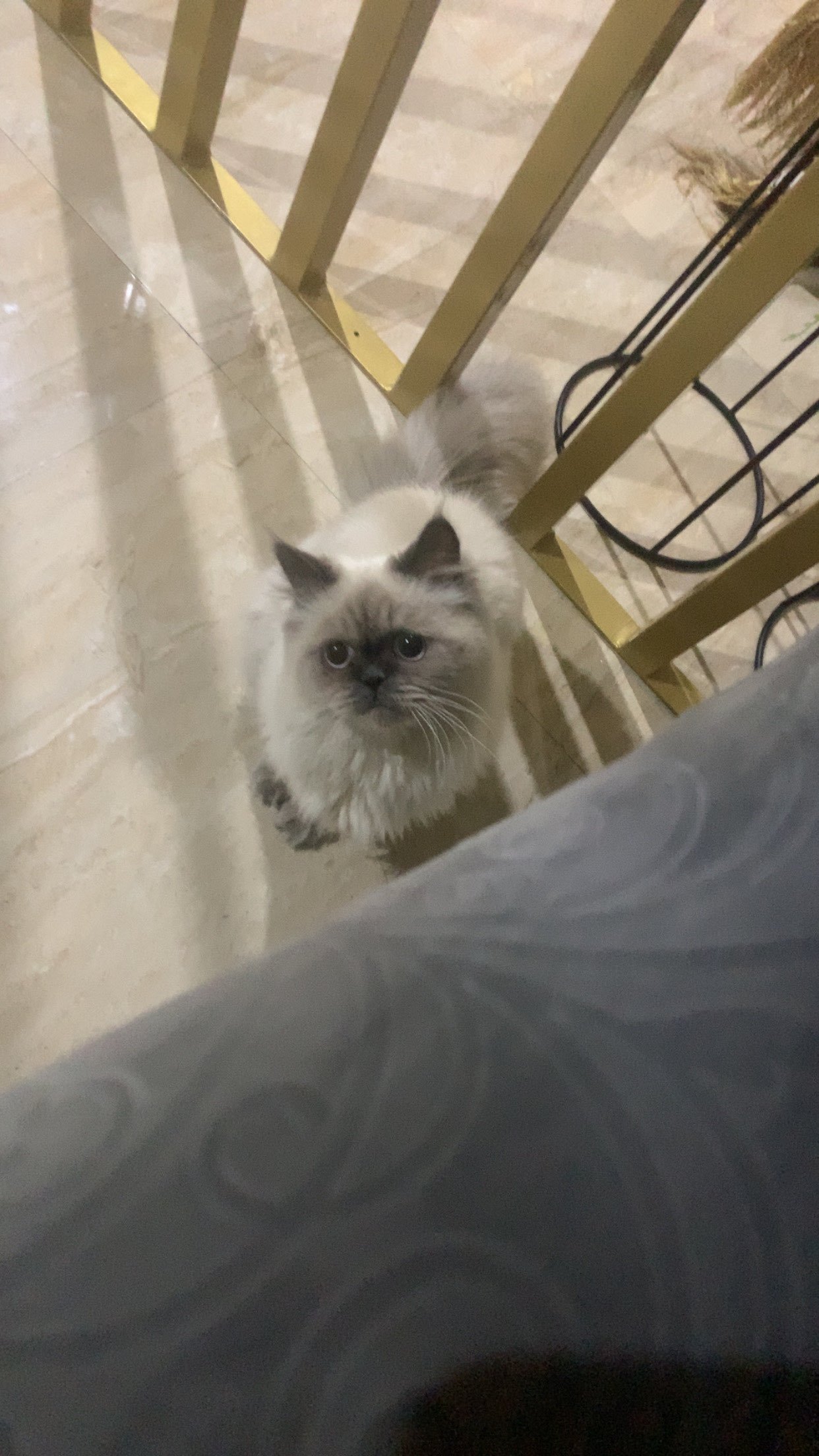 customer
