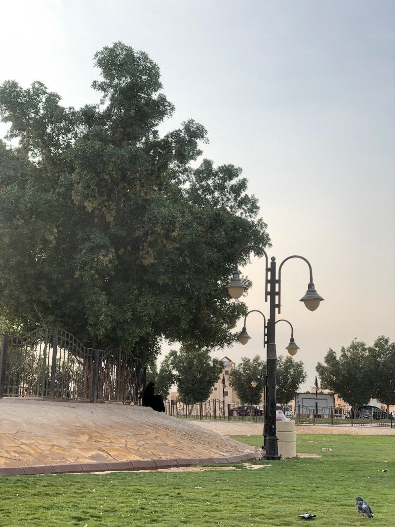 عائشه الحويطي