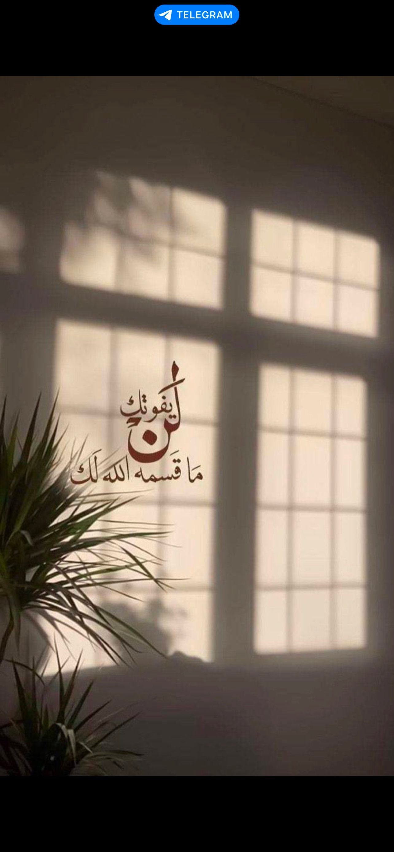 ممدوح الحربي