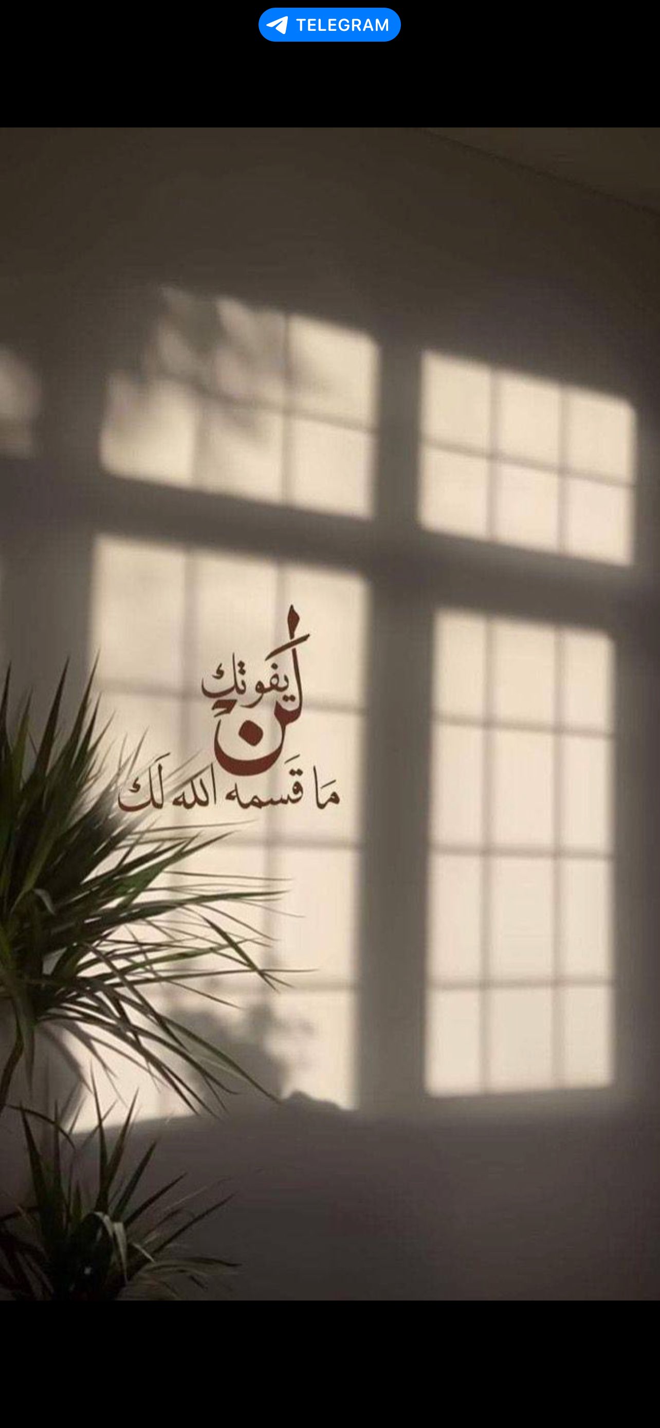 ممدوح الحربي