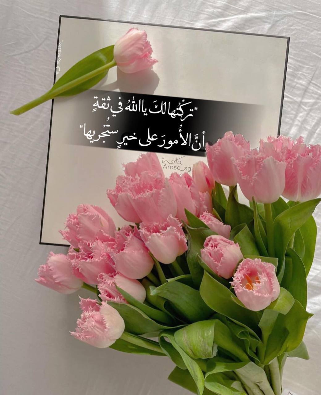 عزيزة الشريف