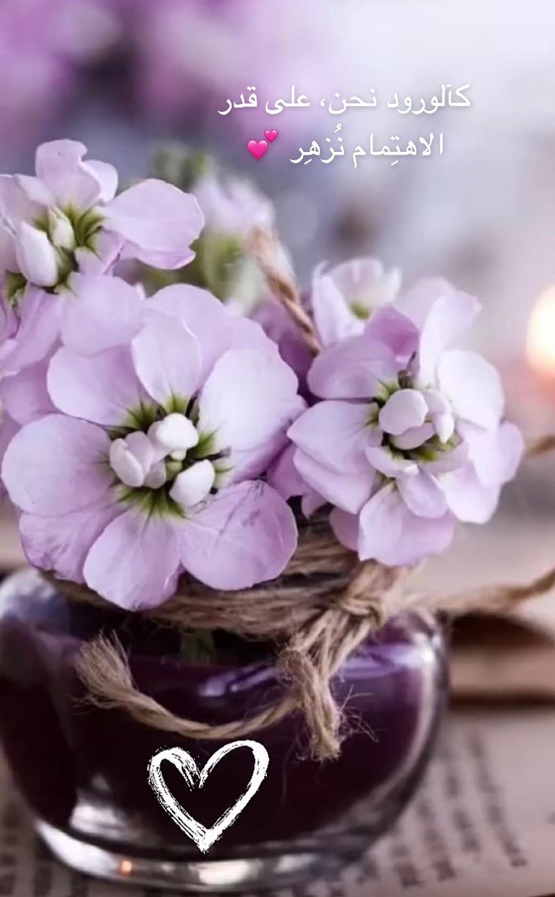 جوهره الغامدي