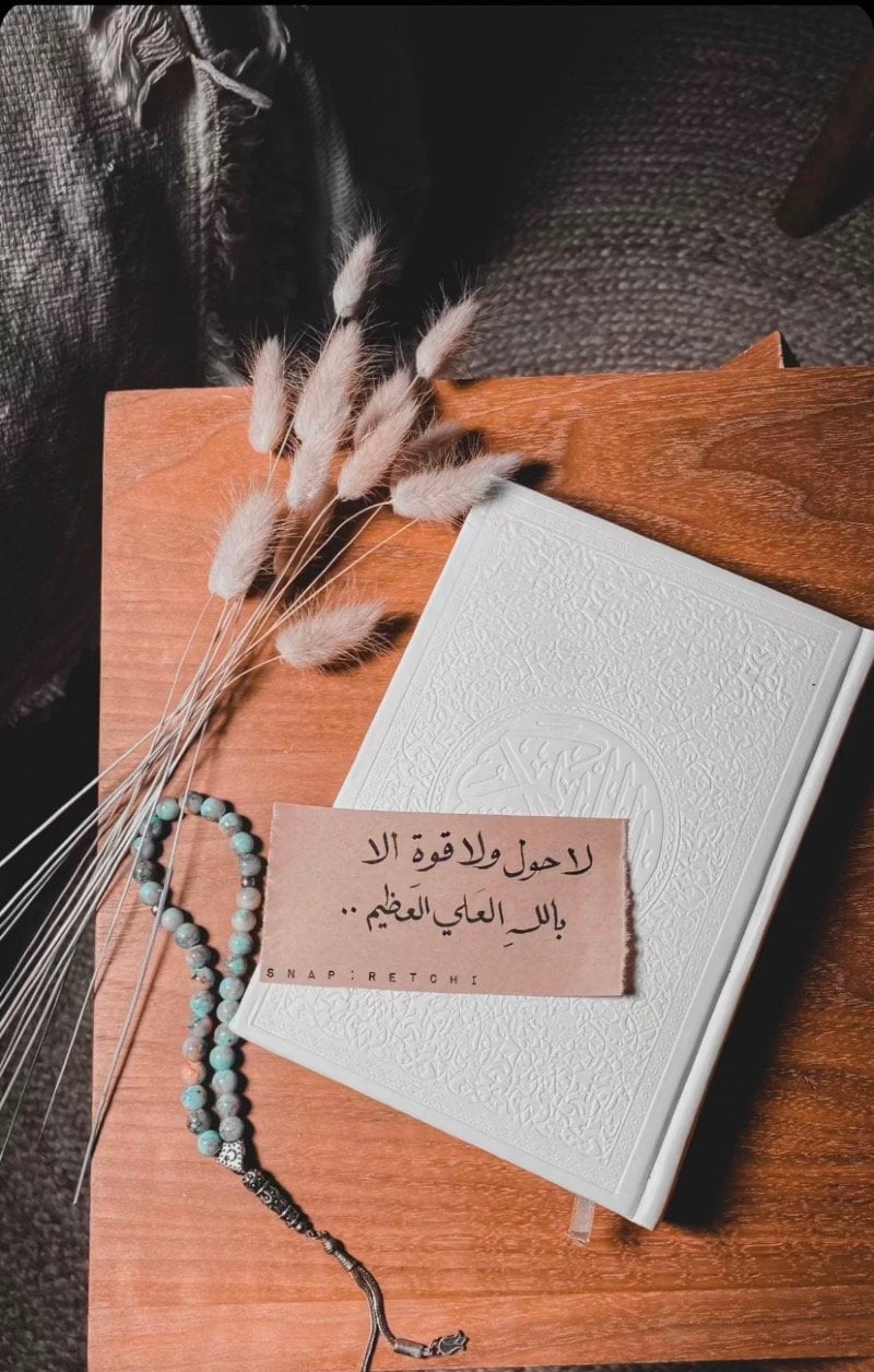 فايزه حمدي