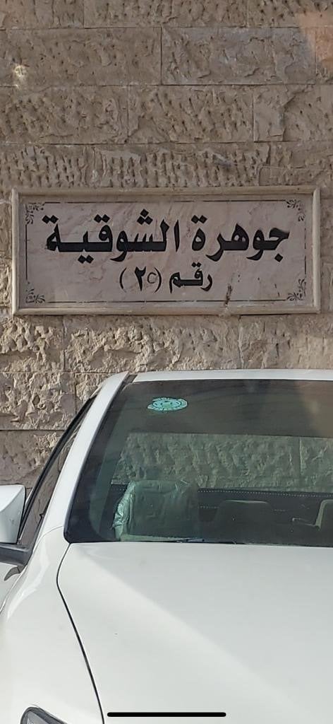 منال الحربي