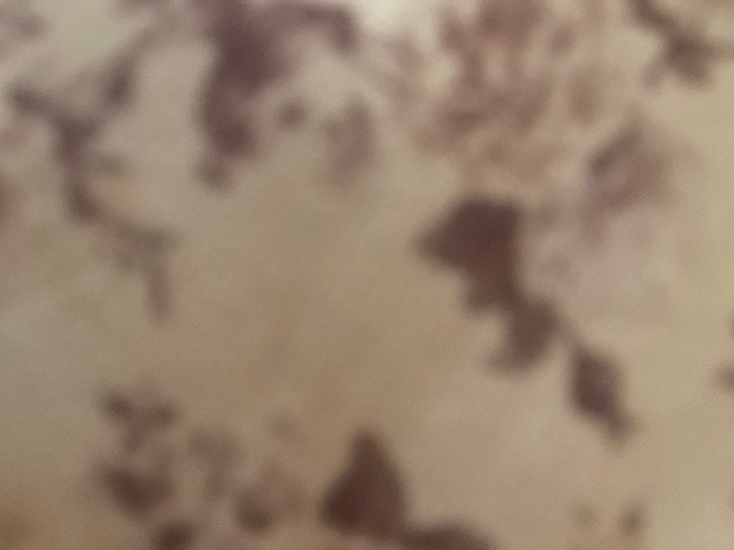 حاتم القحطاني