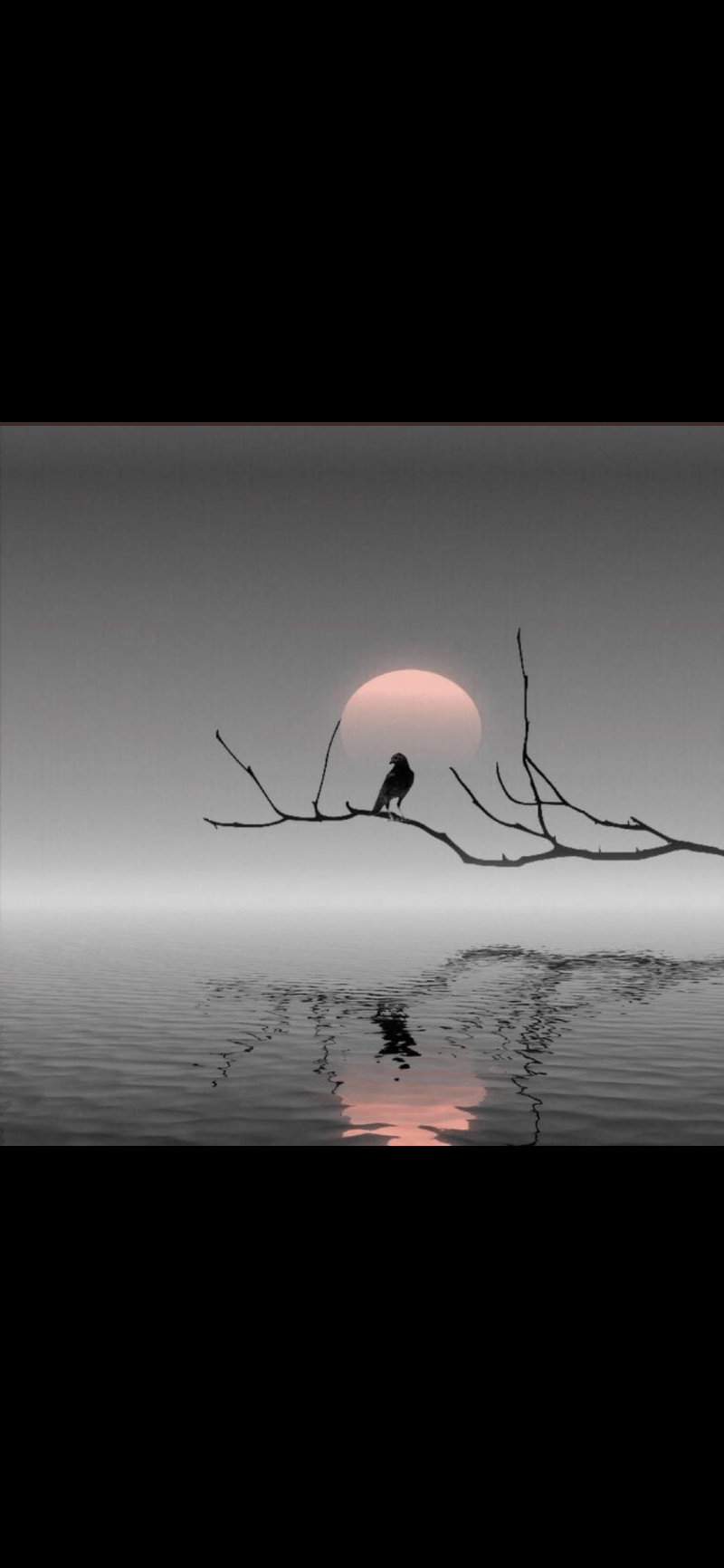 سعد عبدالرحمن الرقراق