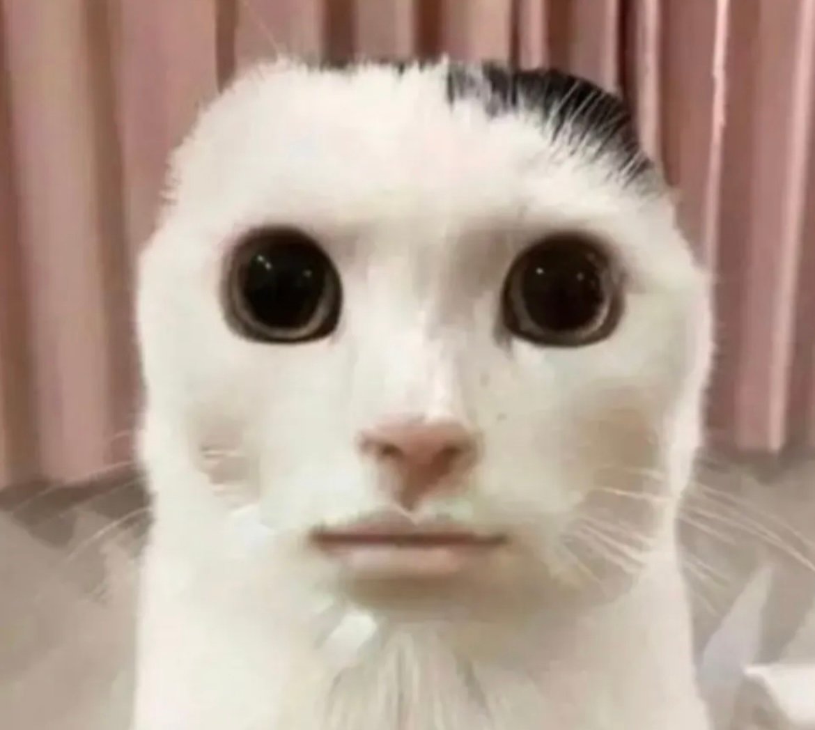 دانه المحمدي