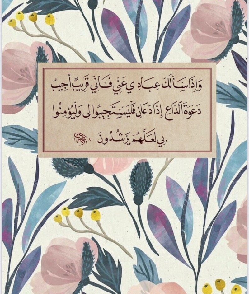 مها ال قريش