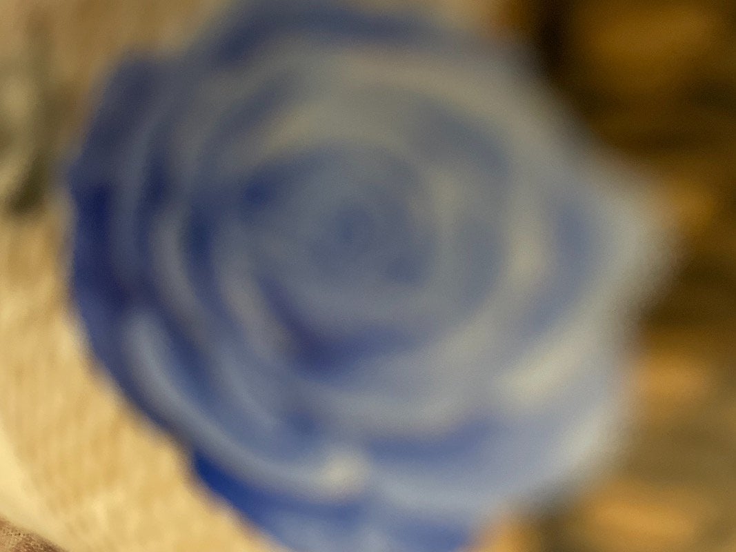 مارية الشثري