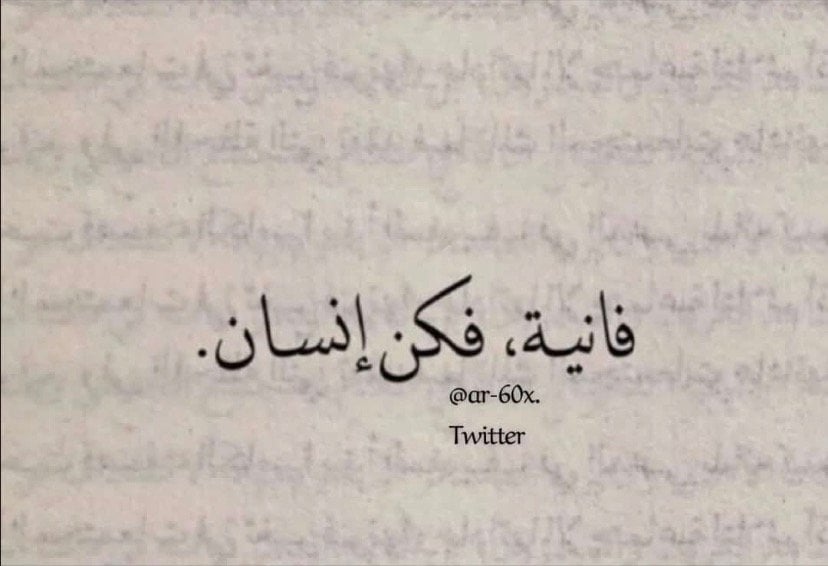 محمد علي احمد حكمي