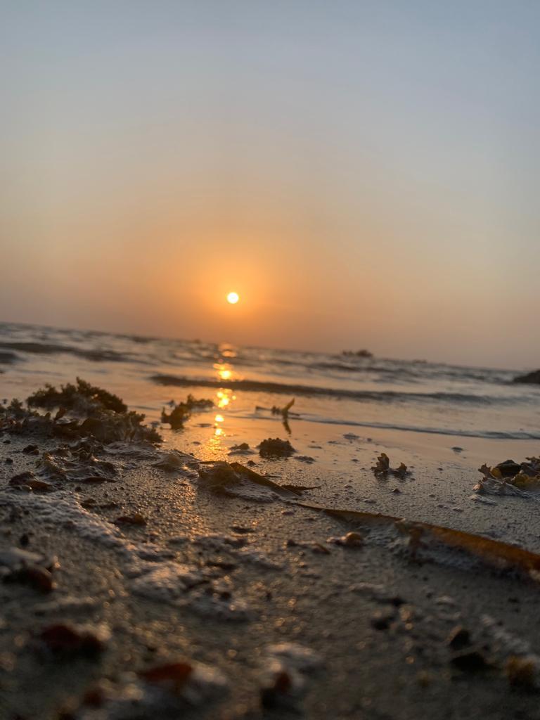 ميعاد العبدلي