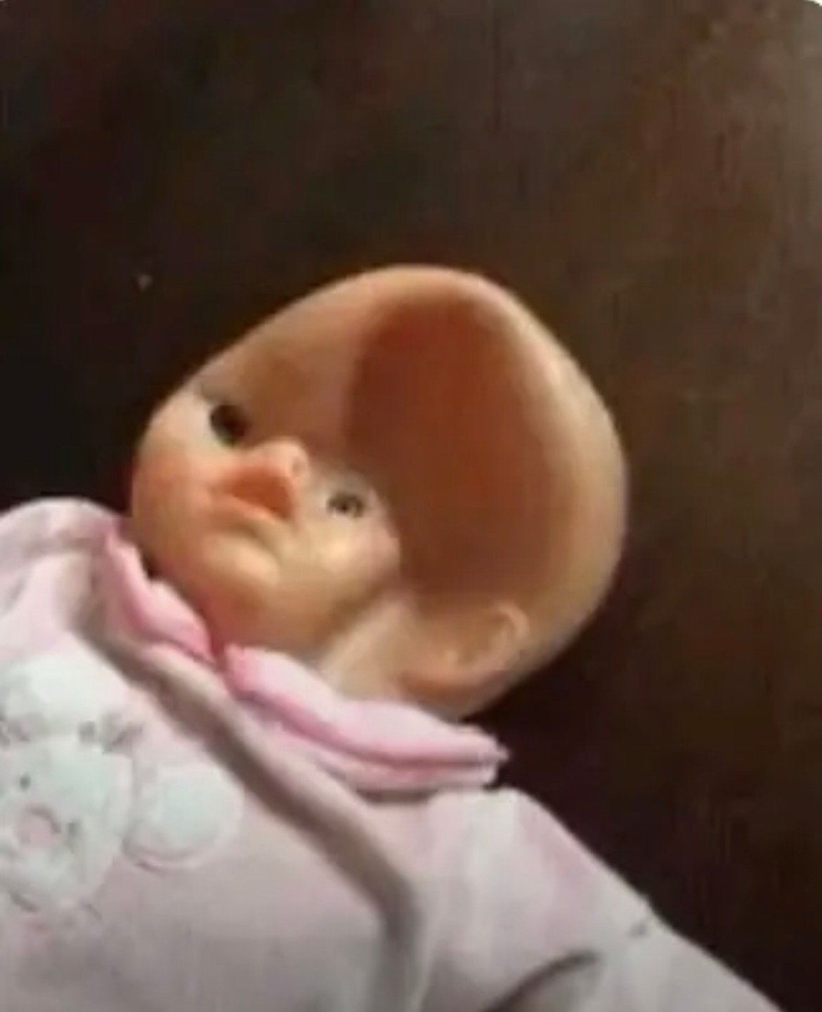 حفصه القيسي