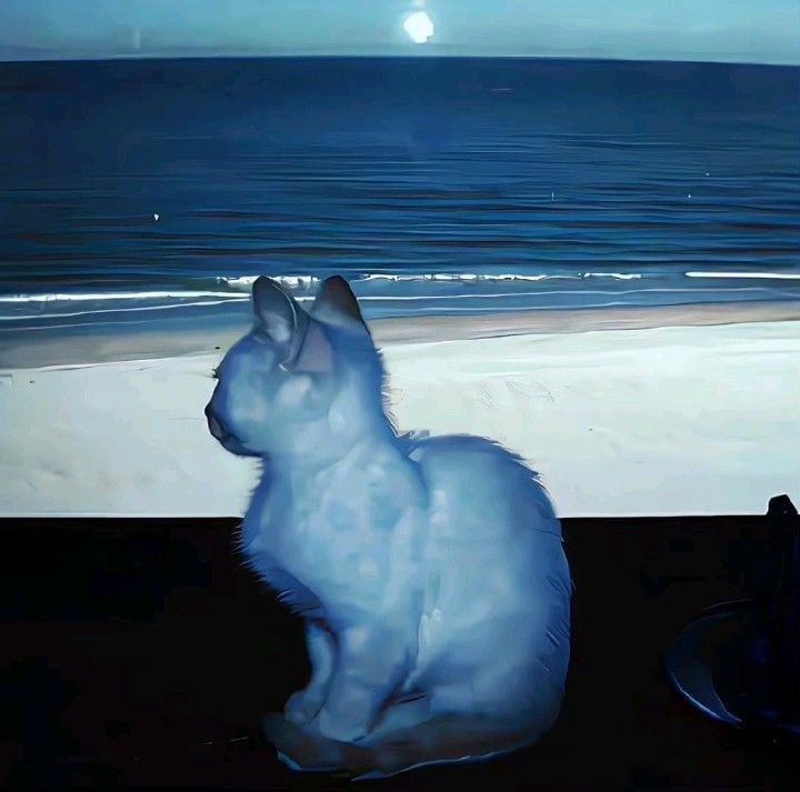 رغد الرفاعي