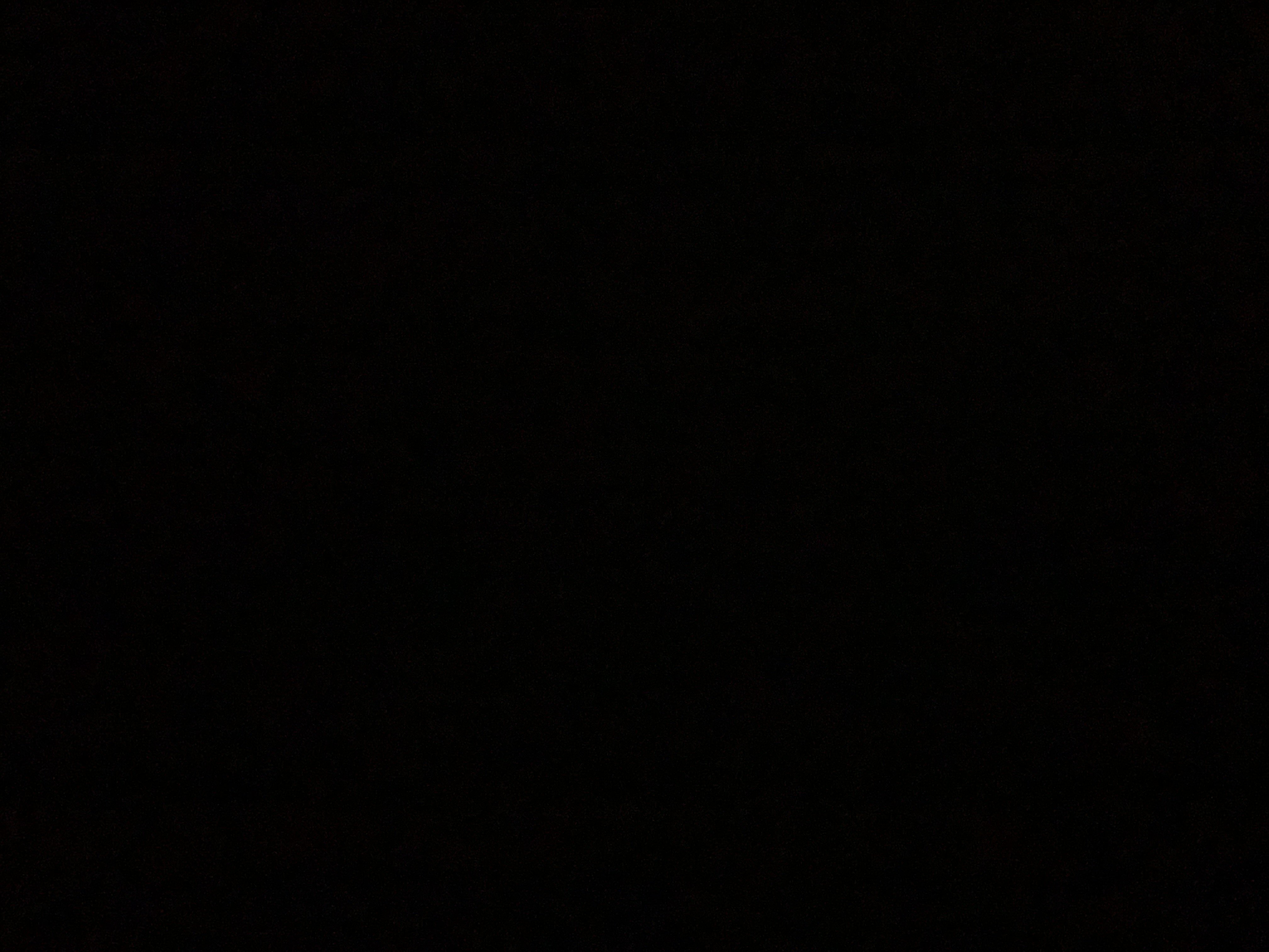 عبدالكريم تركستاني