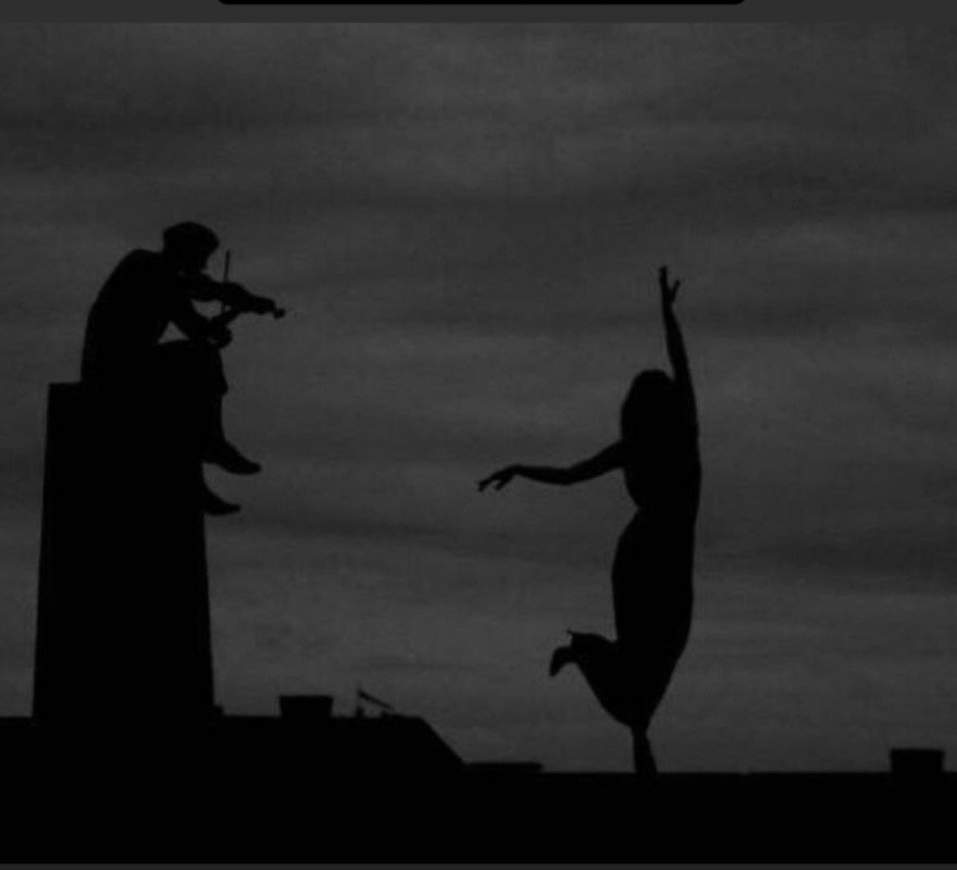 ريان المحمادي