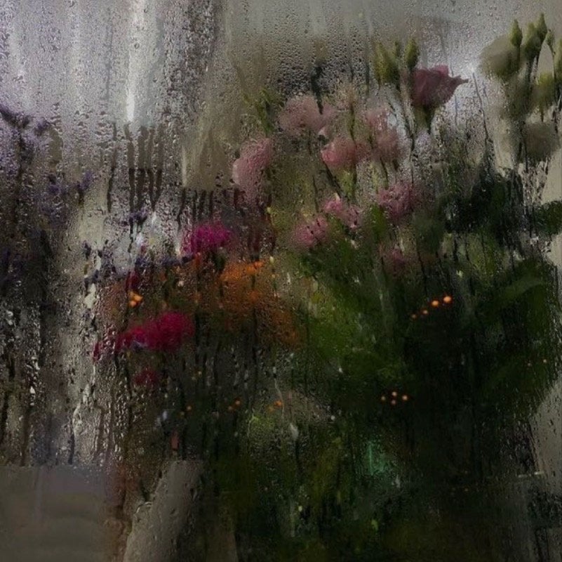 ريماس المالكي