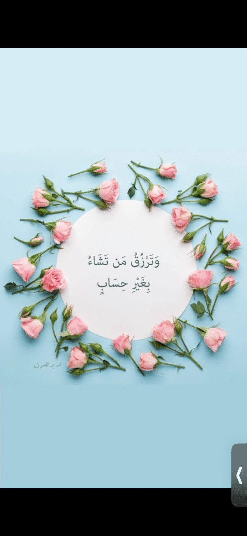 Aisha Alshammari