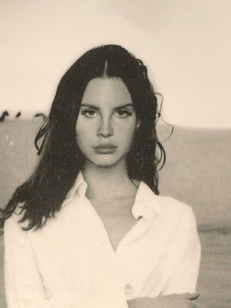 اسيل الحربي