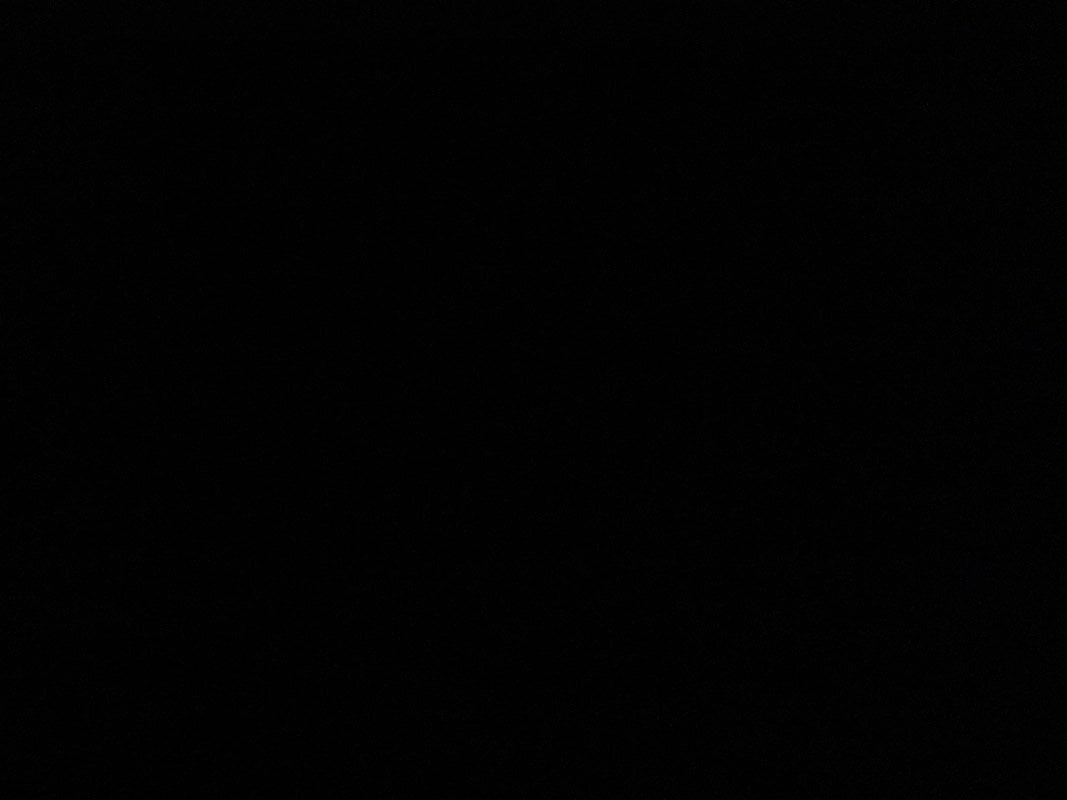 ديمه الرشيدي