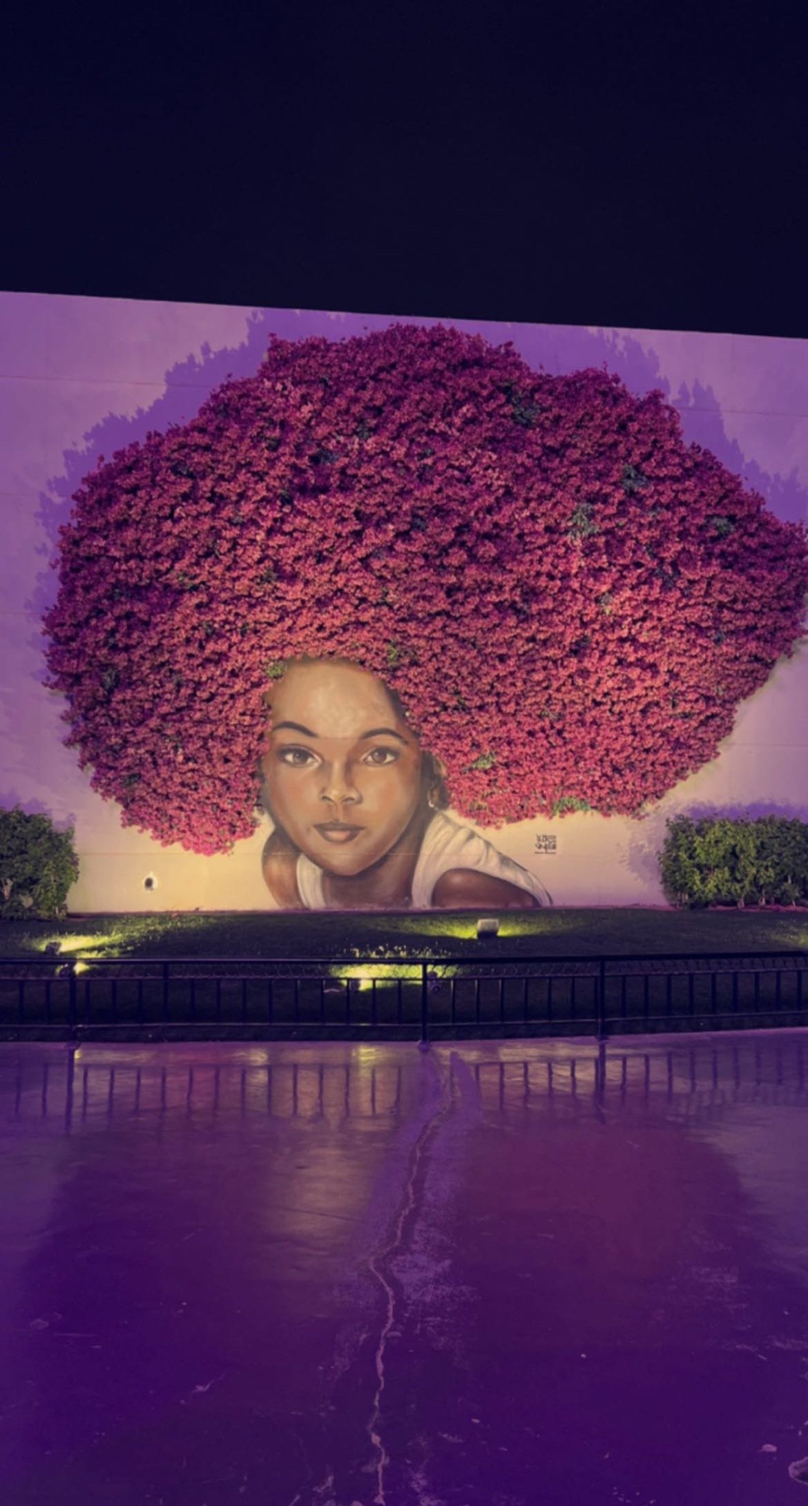 وسام عسيلان