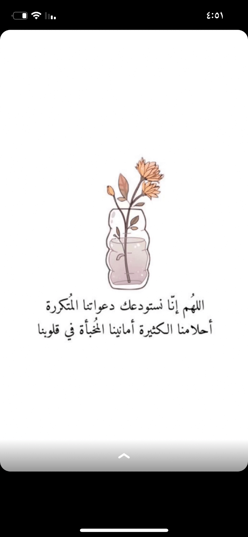 شروق 