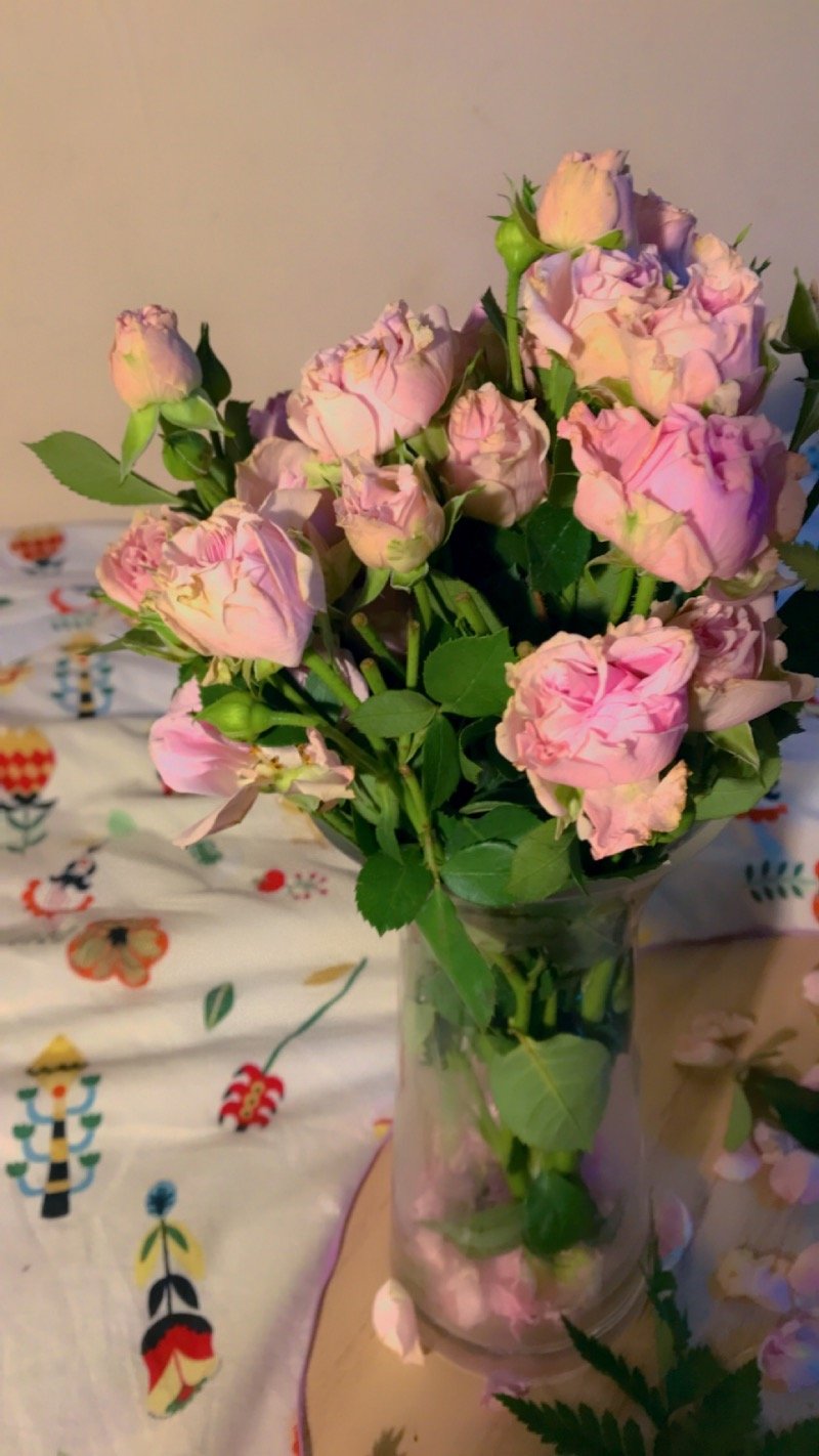 أحمد الفقية