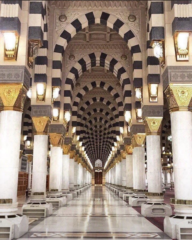 ماجد العمودي