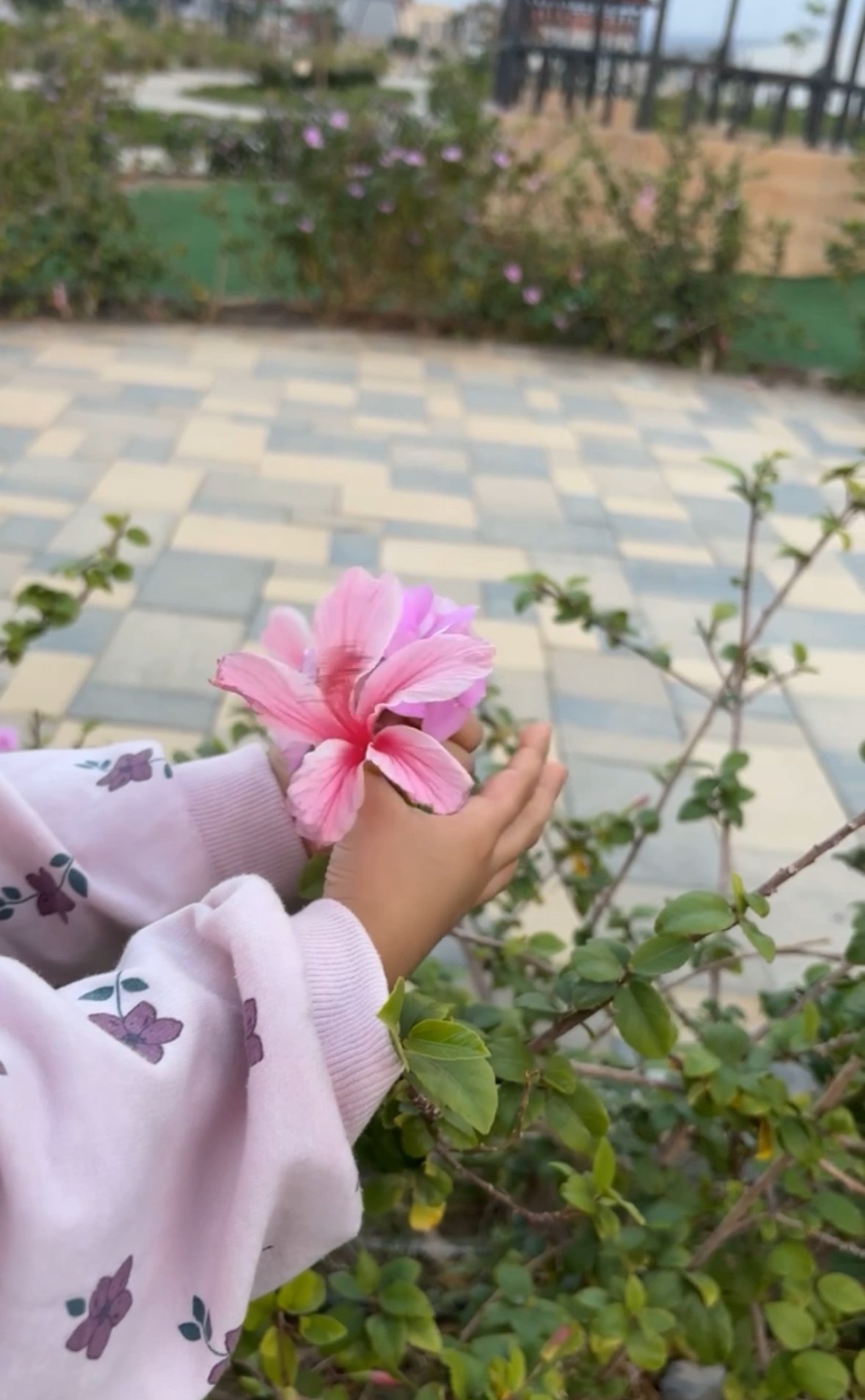 أحمد السلمي