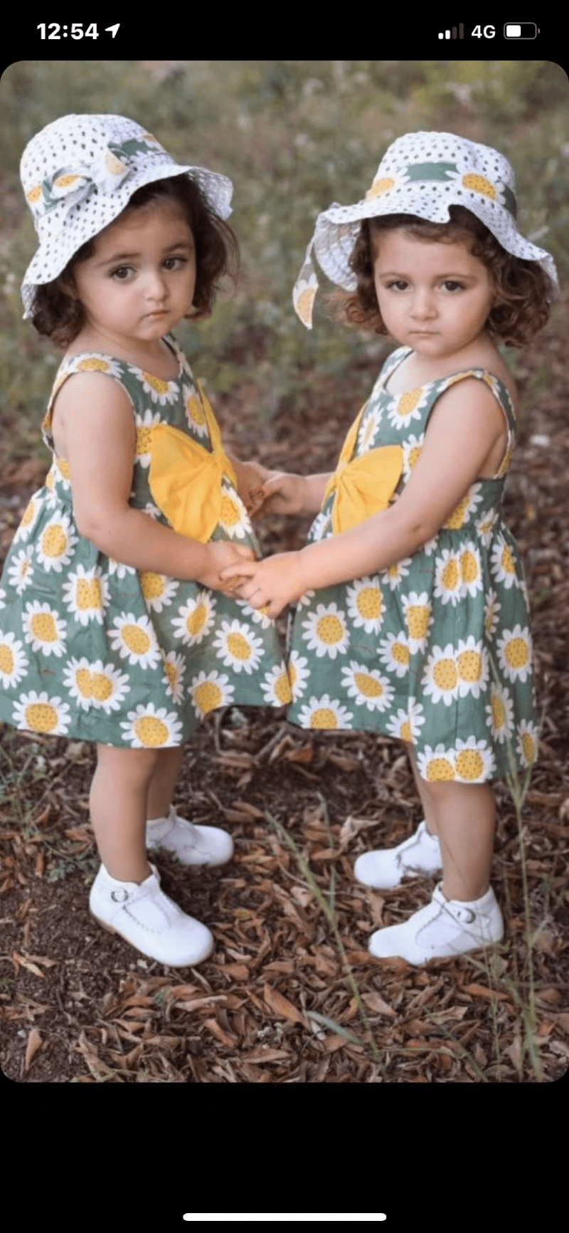 دانه القرني