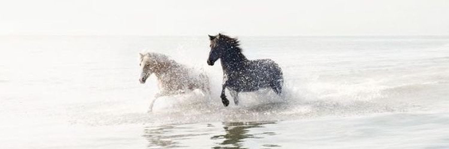 اروقيت Arrogate