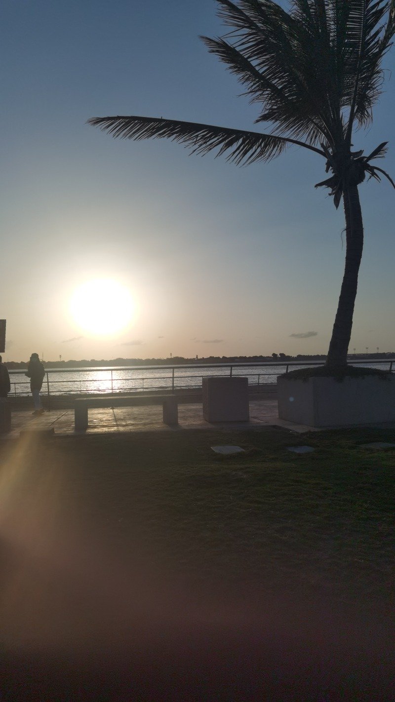 محمد القحطاني