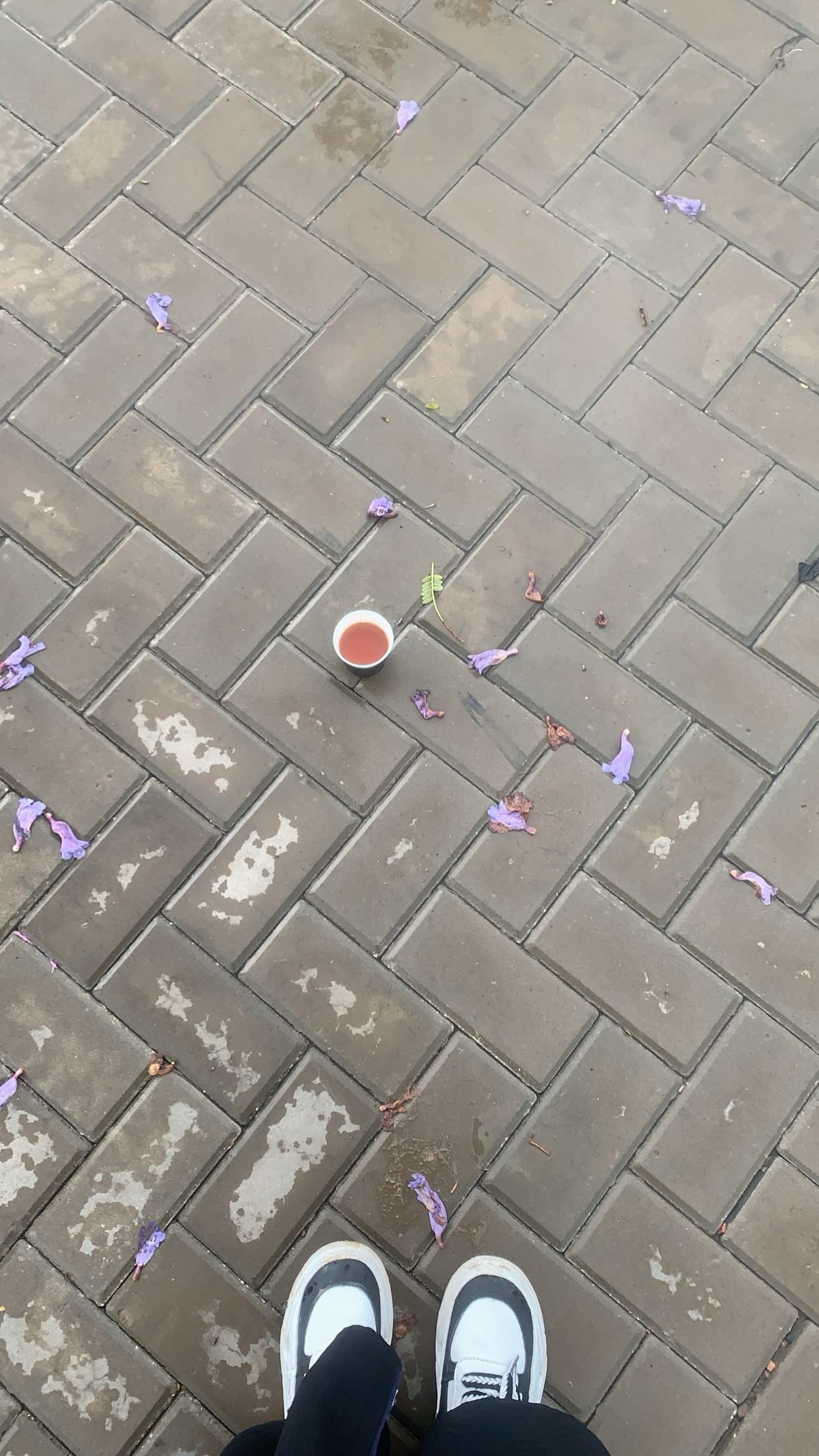 مريم خبراني