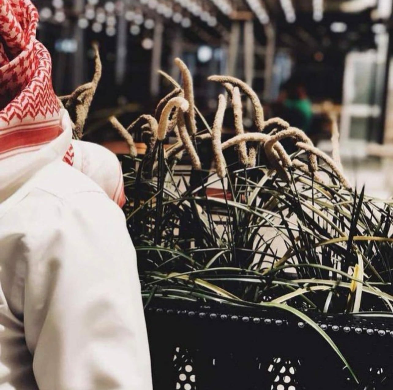 فهد العنزي